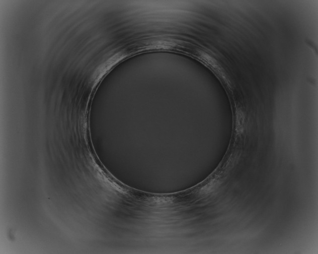 X0000101460802200807141305