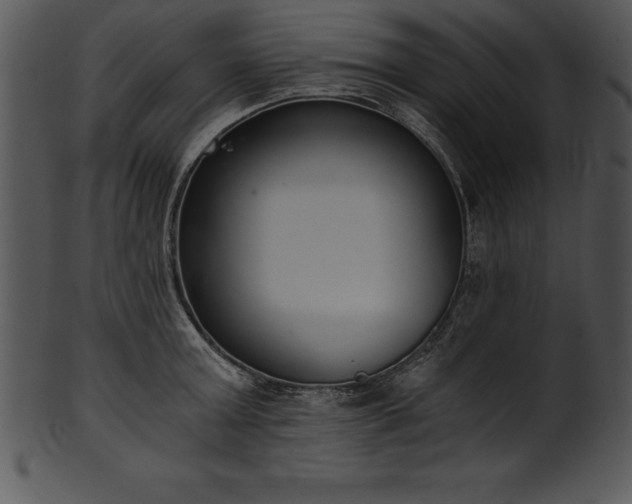 X0000101460803200807141305