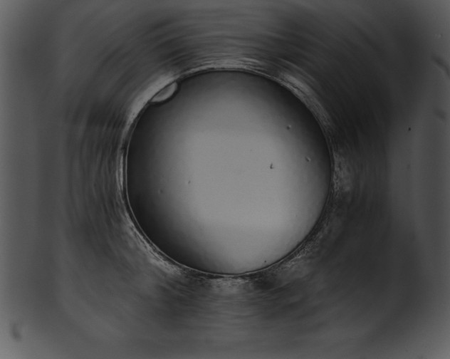 X0000101460804200807141305