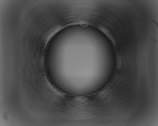 X0000101460805200807141305
