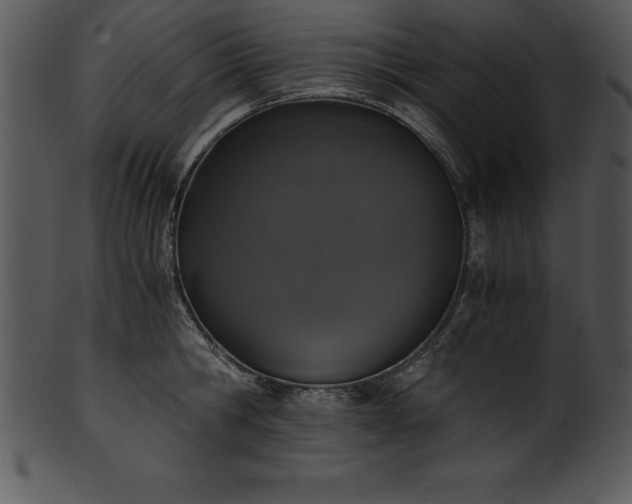 X0000101460806200807141305