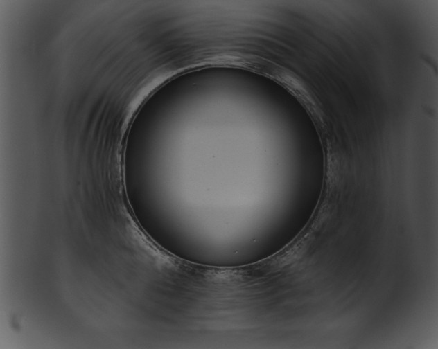 X0000101460808200807141305