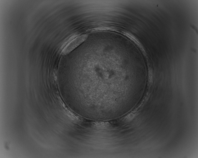 X0000101460809200807141305
