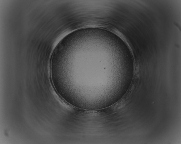 X0000101460811200807141305