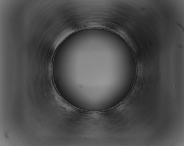 X0000101460814200807141305