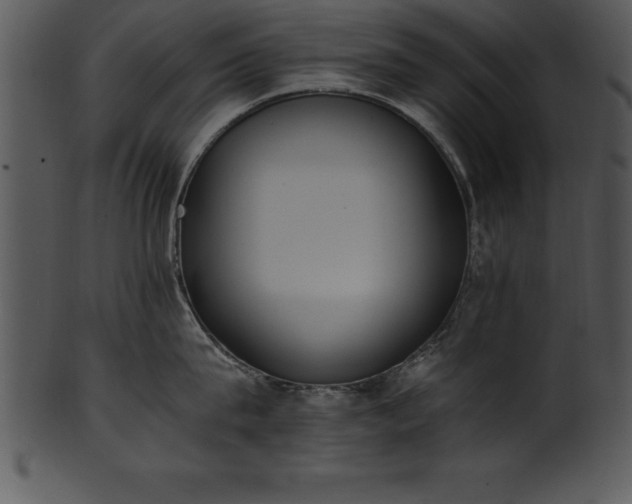 X0000101460815200807141305