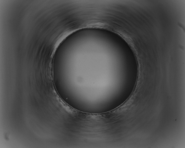 X0000101460816200807141305