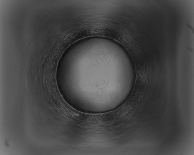 X0000101460817200807141304
