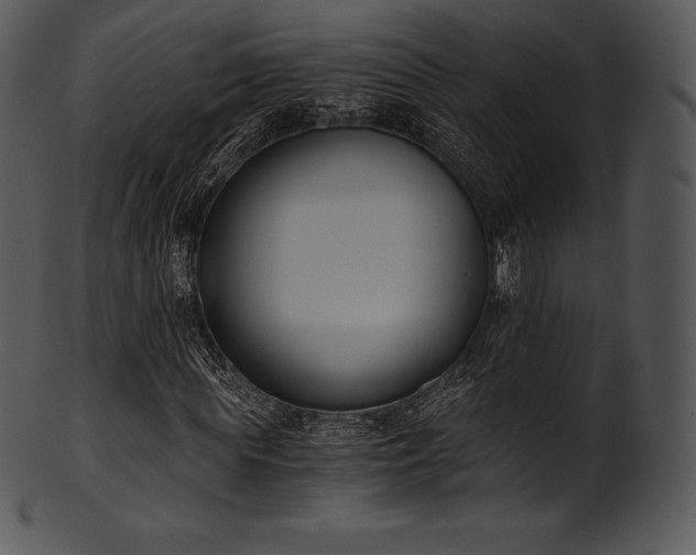 X0000101460819200807141305