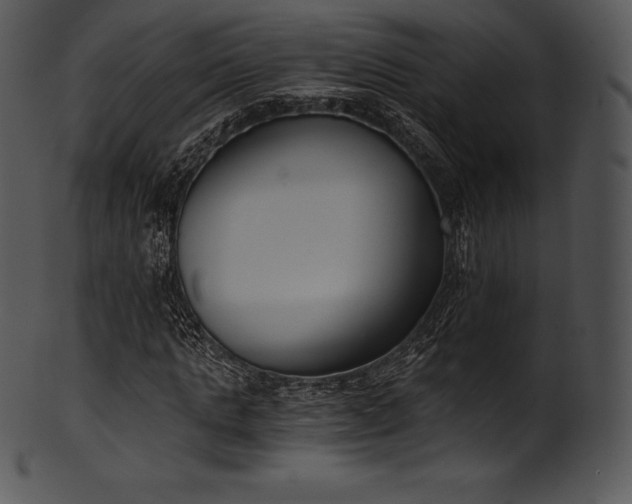 X0000101460821200807141305