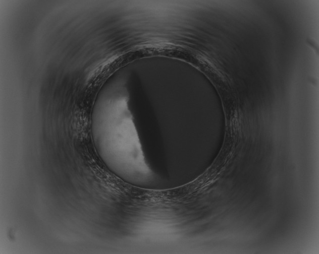 X0000101460822200807141305