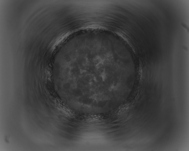 X0000101460823200807141305