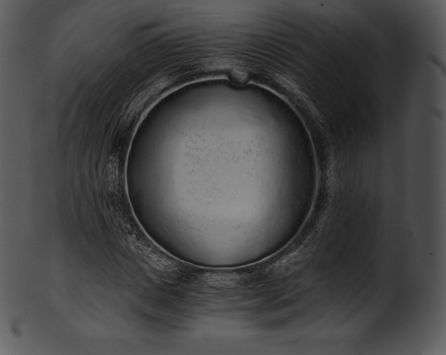 X0000101460825200807141305