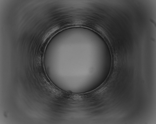 X0000101460827200807141305