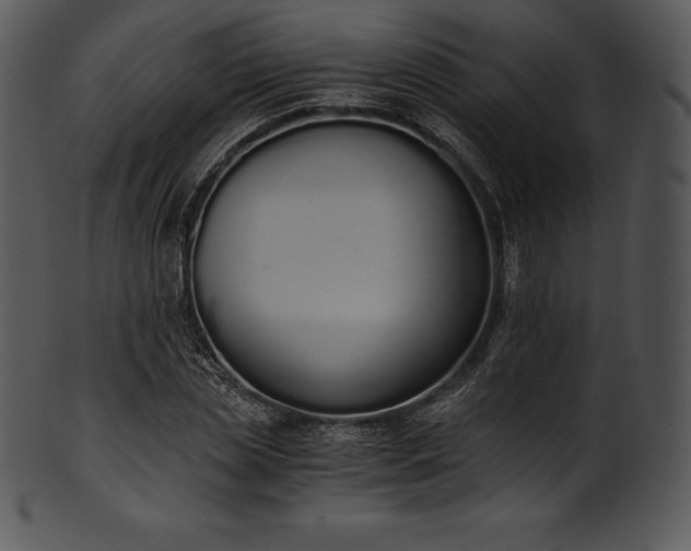 X0000101460829200807141305