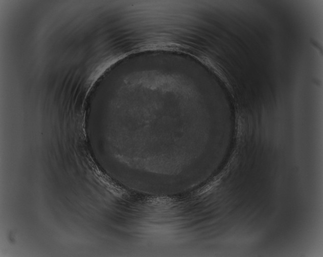 X0000101460830200807141305