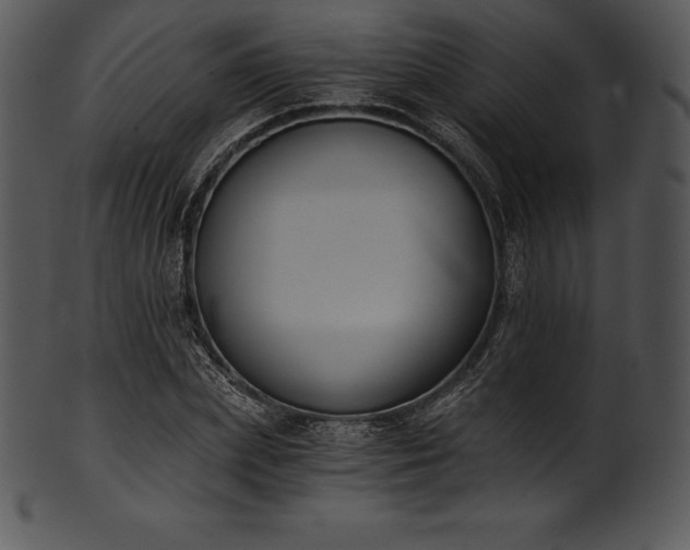 X0000101460831200807141305
