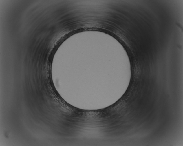 X0000101460832200807141305