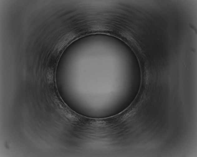 X0000101460833200807141305