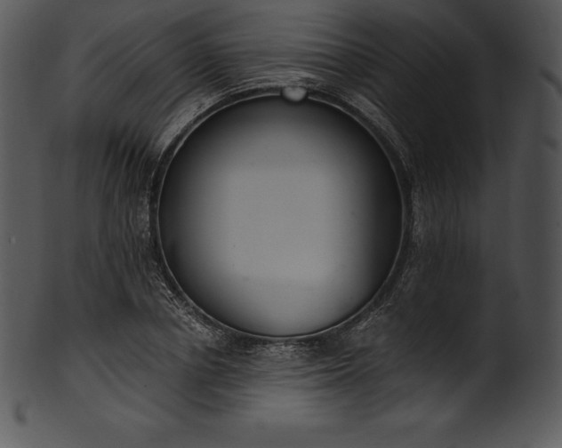 X0000101460834200807141305