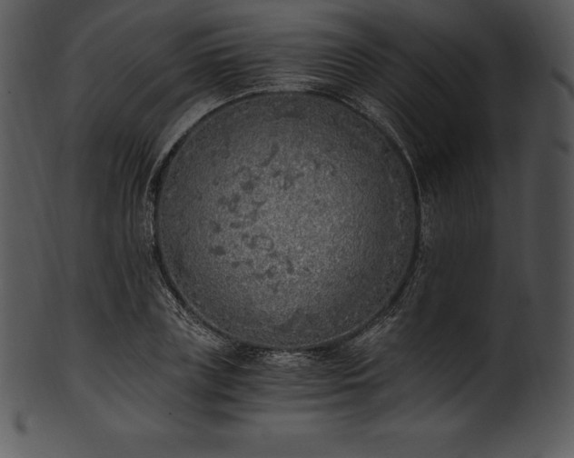 X0000101460835200807141305