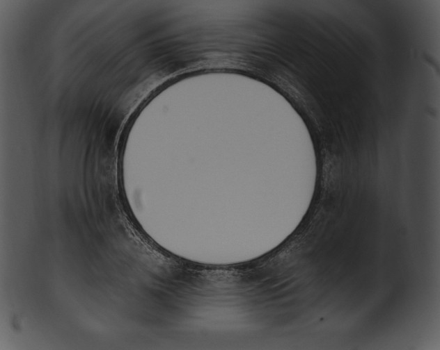 X0000101460836200807141305
