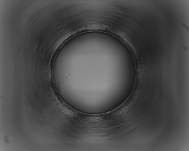 X0000101460837200807141305