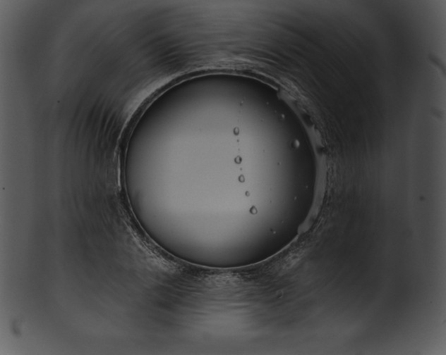 X0000101460838200807141305