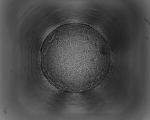 X0000101460839200807141305