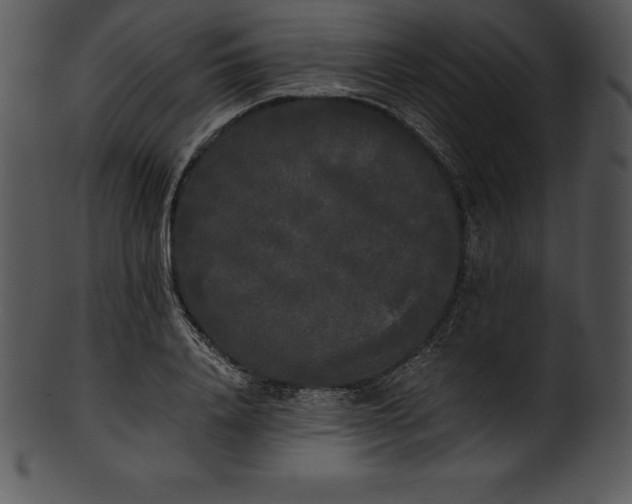 X0000101460840200807141305