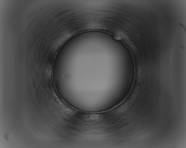 X0000101460841200807141305