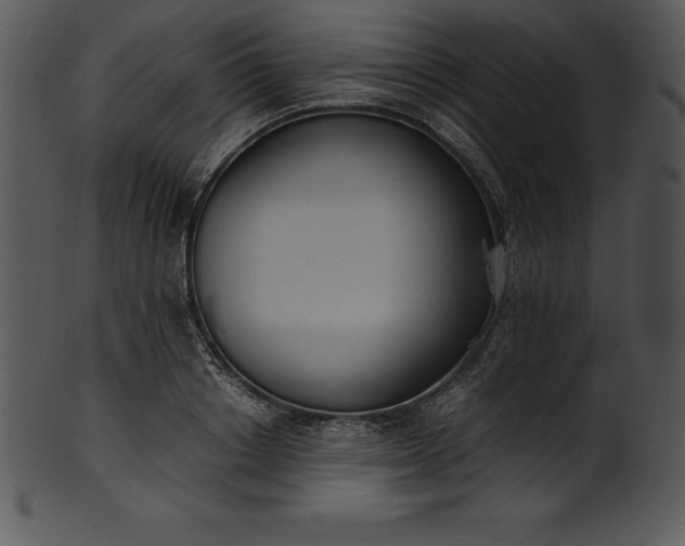 X0000101460842200807141305