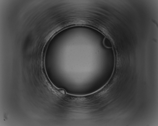 X0000101460845200807141305