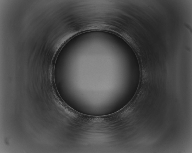 X0000101460846200807141305