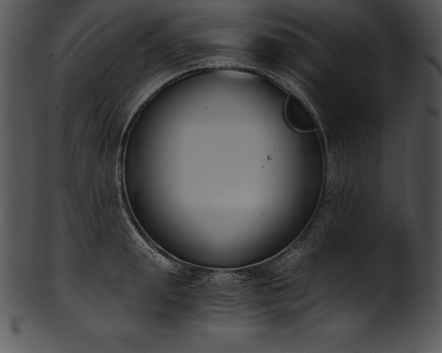 X0000101460847200807141305