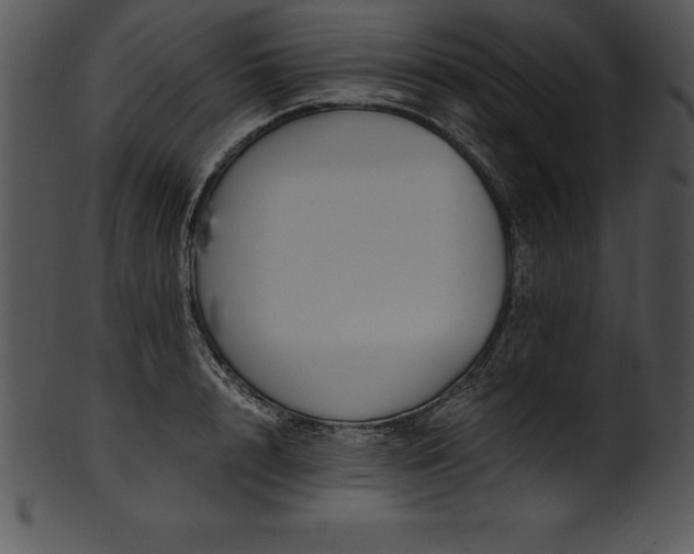 X0000101460848200807141305