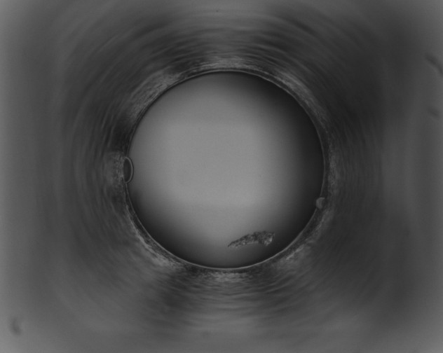 X0000101460849200807141305