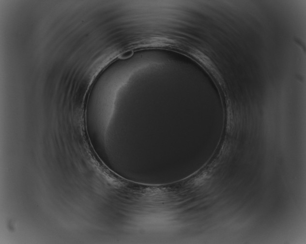 X0000101460850200807141305