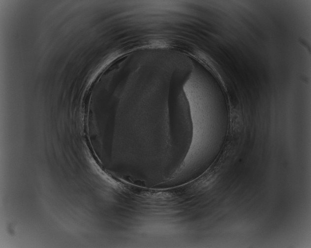 X0000101460851200807141305