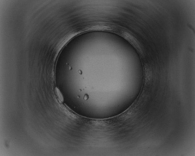 X0000101460852200807141305
