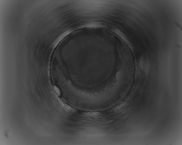 X0000101460853200807141305