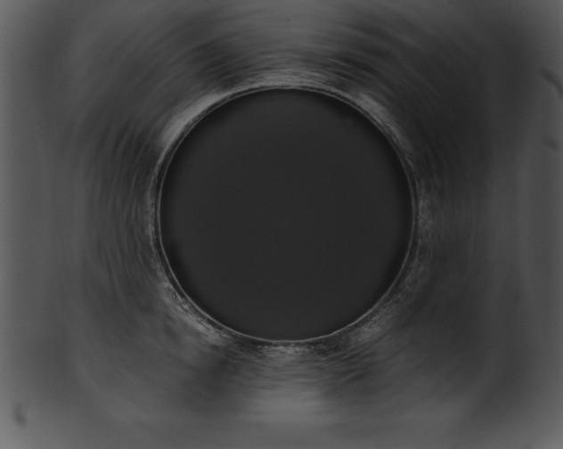 X0000101460854200807141305