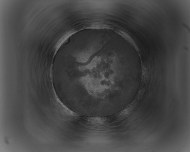 X0000101460855200807141305