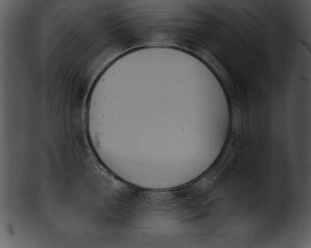 X0000101460856200807141305