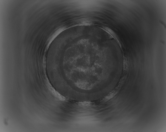 X0000101460859200807141305