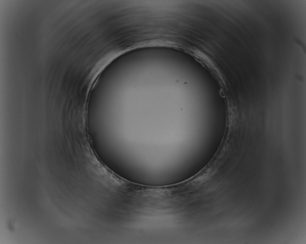 X0000101460860200807141305