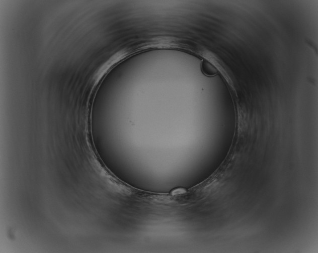 X0000101460861200807141305