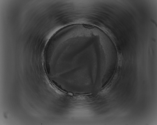 X0000101460862200807141305