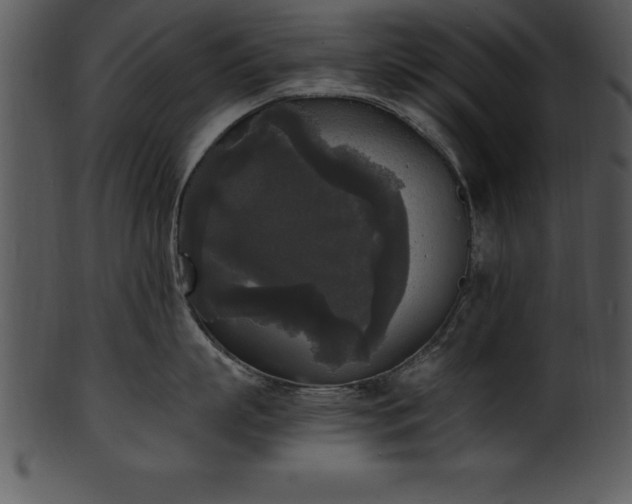 X0000101460863200807141305