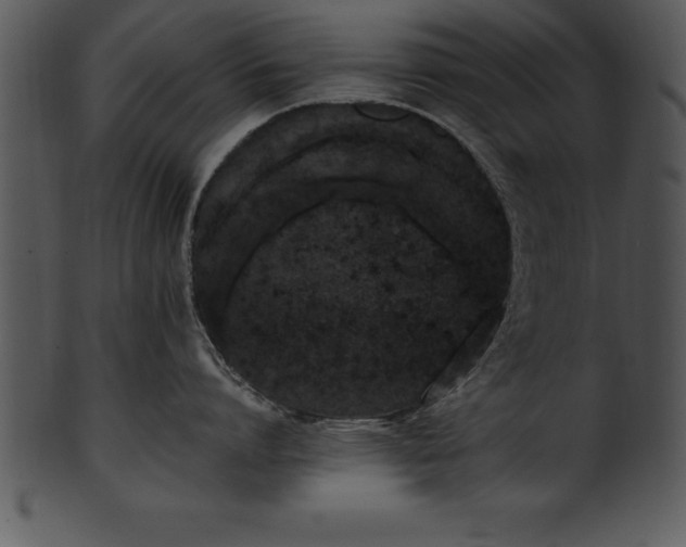 X0000101460864200807141305